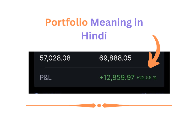 portfolio-meaning-in-hindi