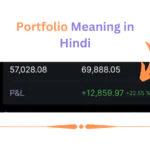 Portfolio Meaning in Hindi | पोर्टफोलियो क्या है (विस्तार से जानिए)