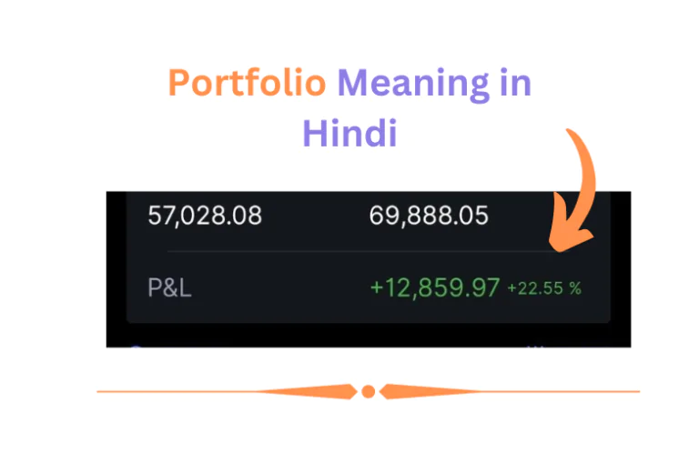 Portfolio Meaning in Hindi | पोर्टफोलियो क्या है (विस्तार से जानिए)